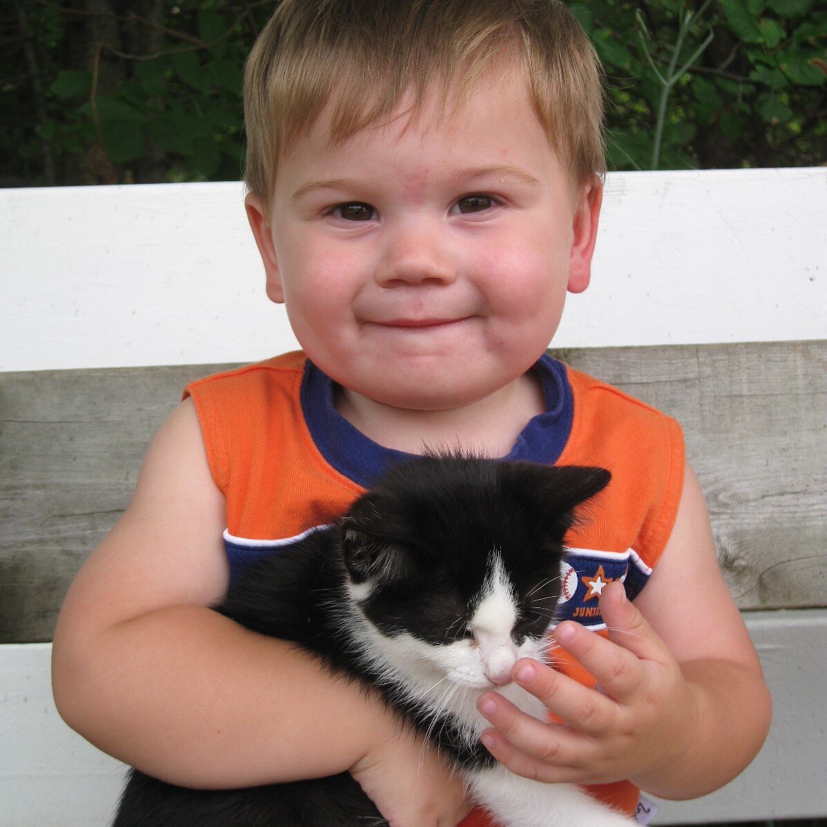 baby holding a cat