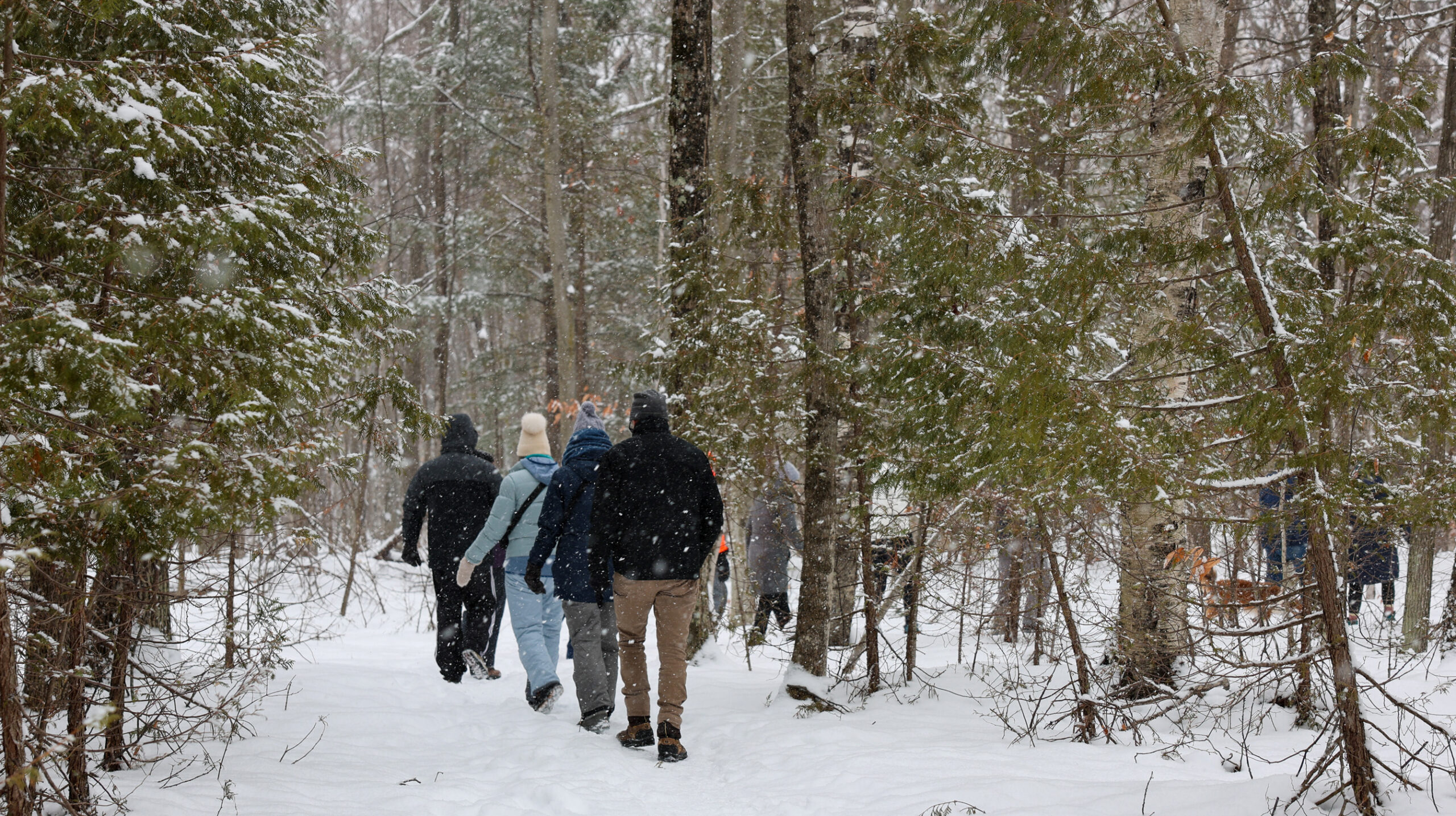 Winter Hike