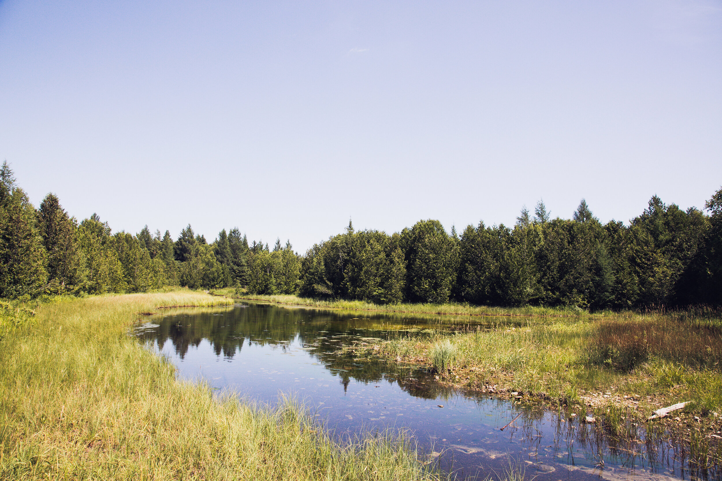 river in nature preserve