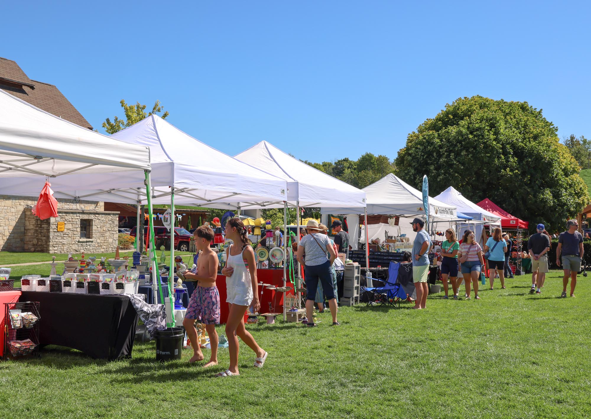 people walking about the arts fair