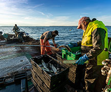 daytime fishing at Henriksen's Fish House