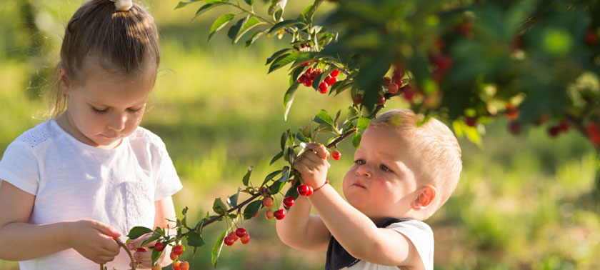 baby holding on to branch at Door County Wildwood Market