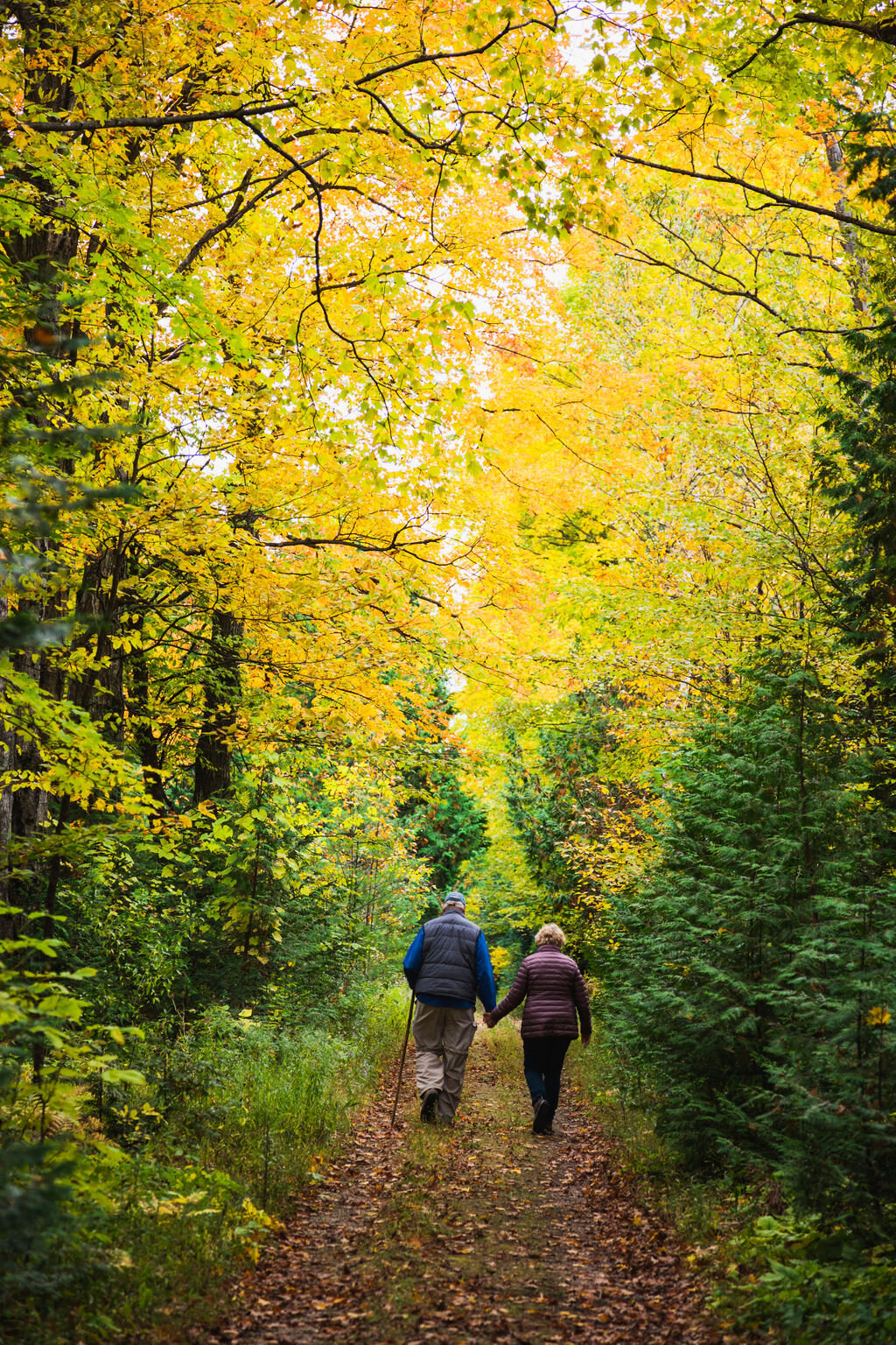 people walking on path with fall leaves