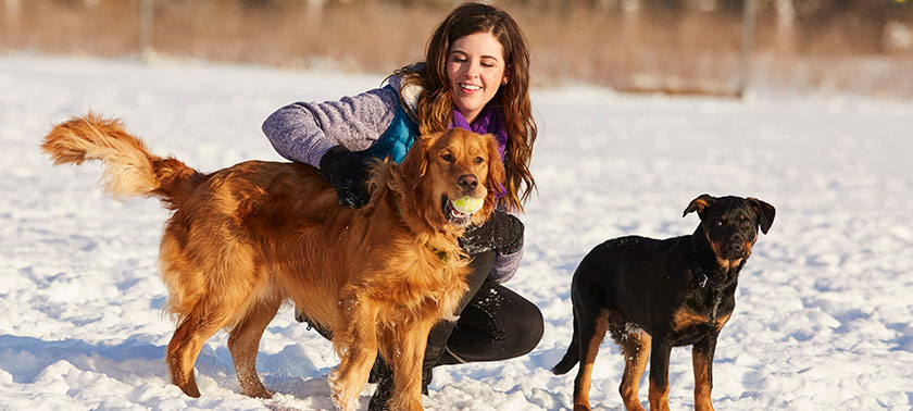 woman with dogs