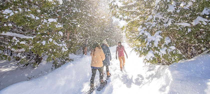 people walking through snowy forest
