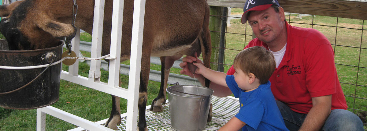 child milking a cow with dad